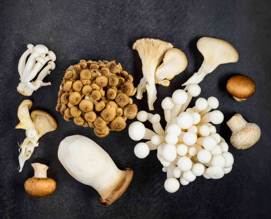 Качественные продукты