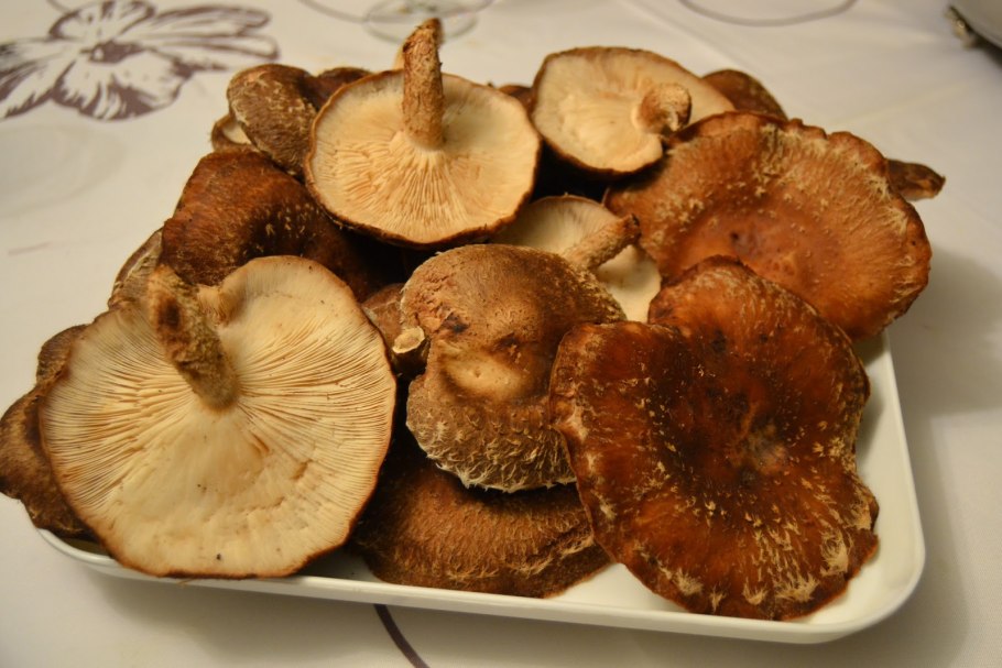 Китайские грибы шиитаке