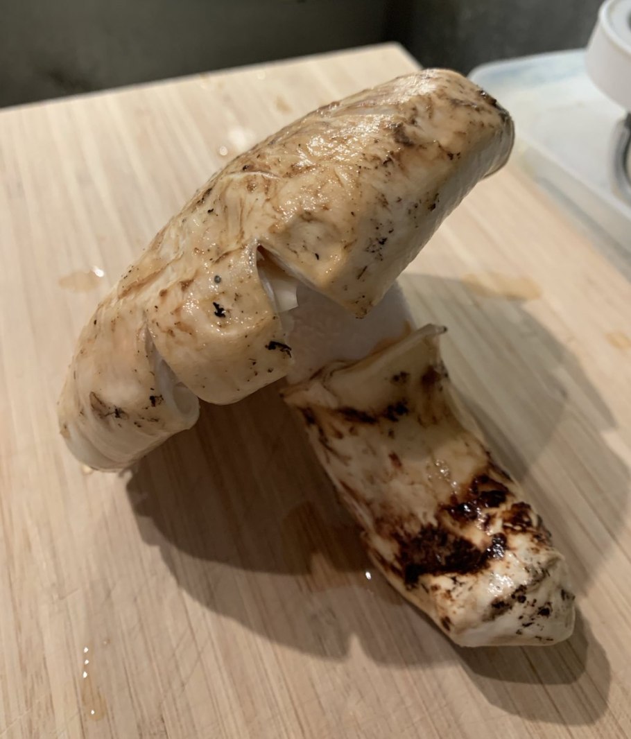 Гриб мацутаке