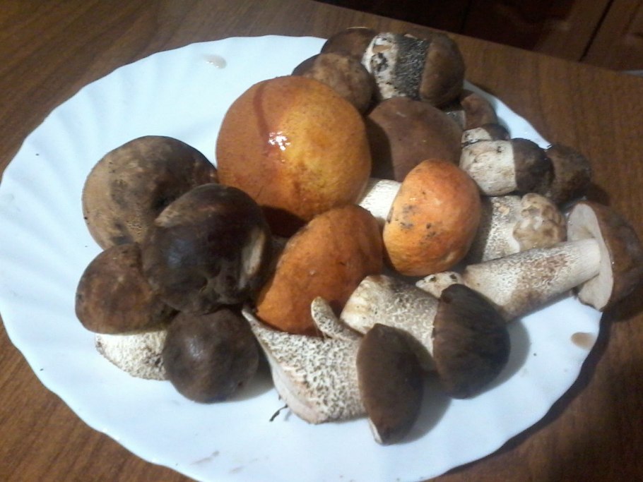 Грибы из носа картинки