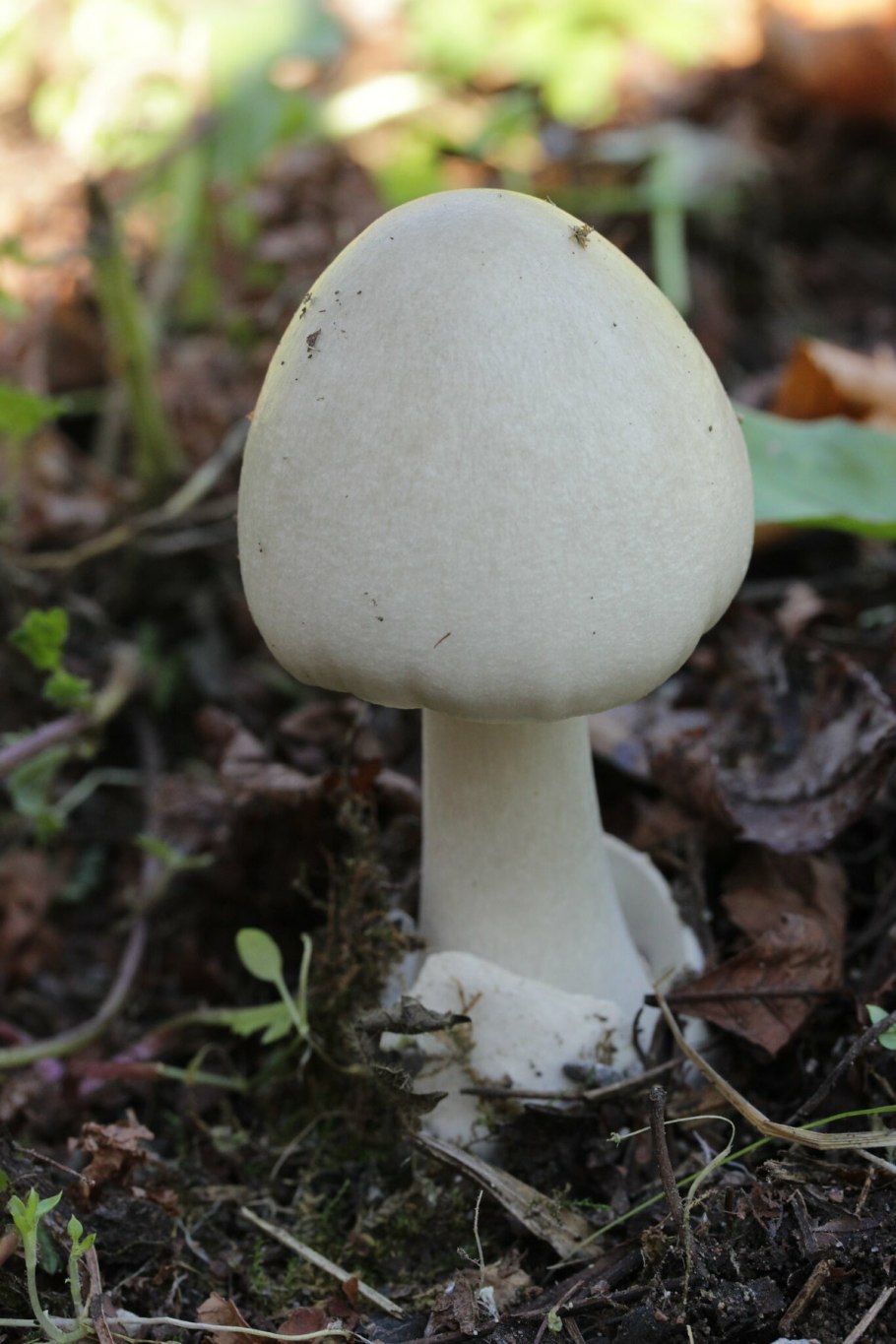 Азиатский грим