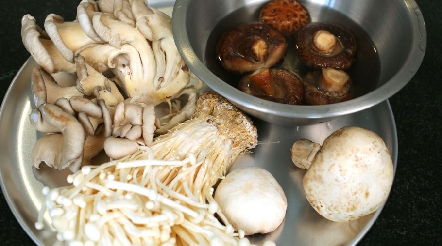 Опята Краснодарского края