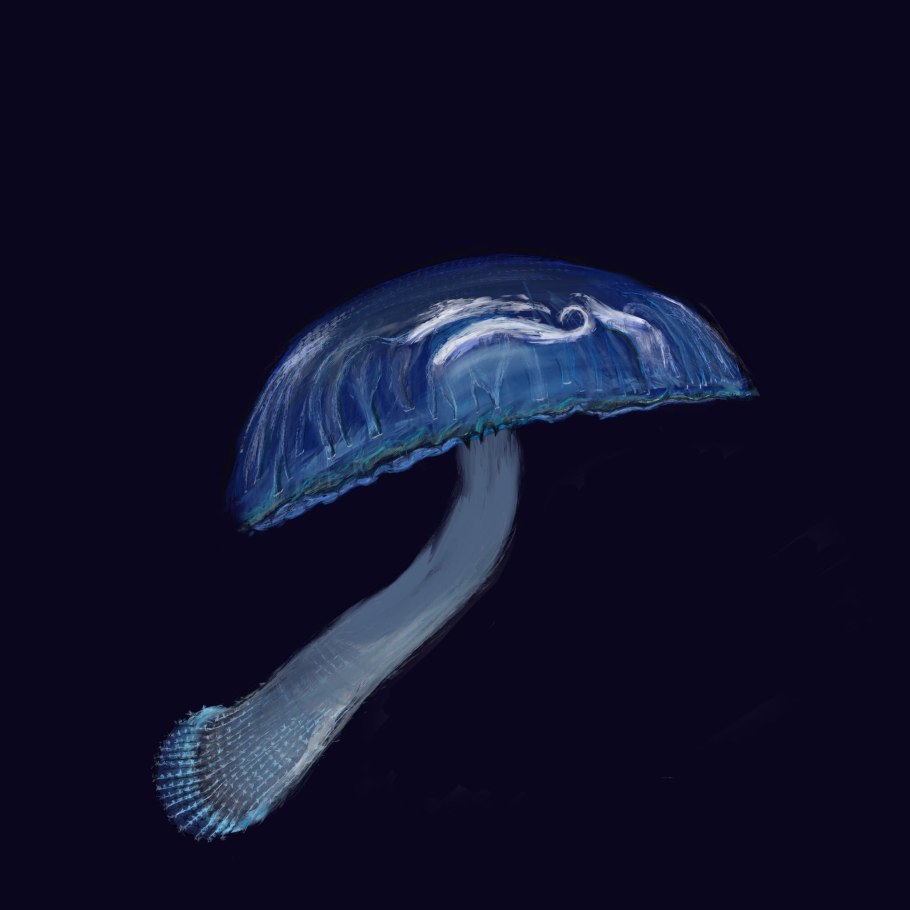 Entoloma hochstetteri