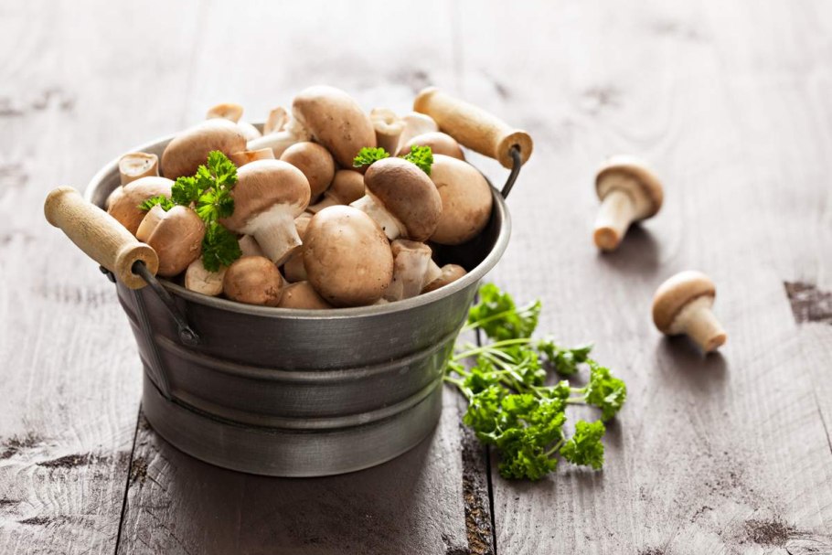 Грибы еда