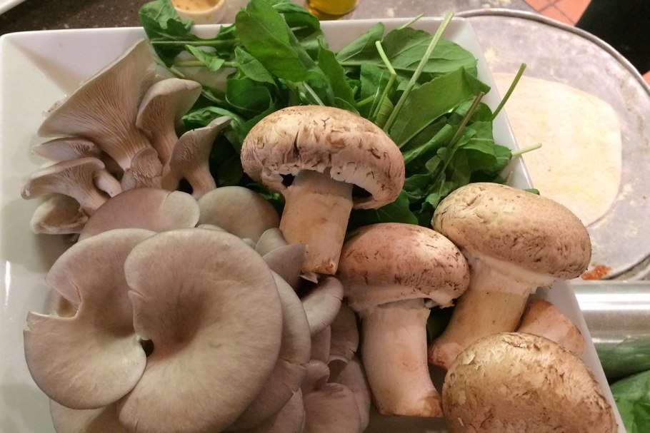 Грибы вешенки опята шампиньоны