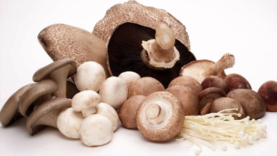 Грибы россыпью