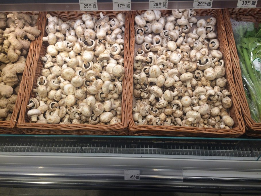 Шампиньоны и вешенки