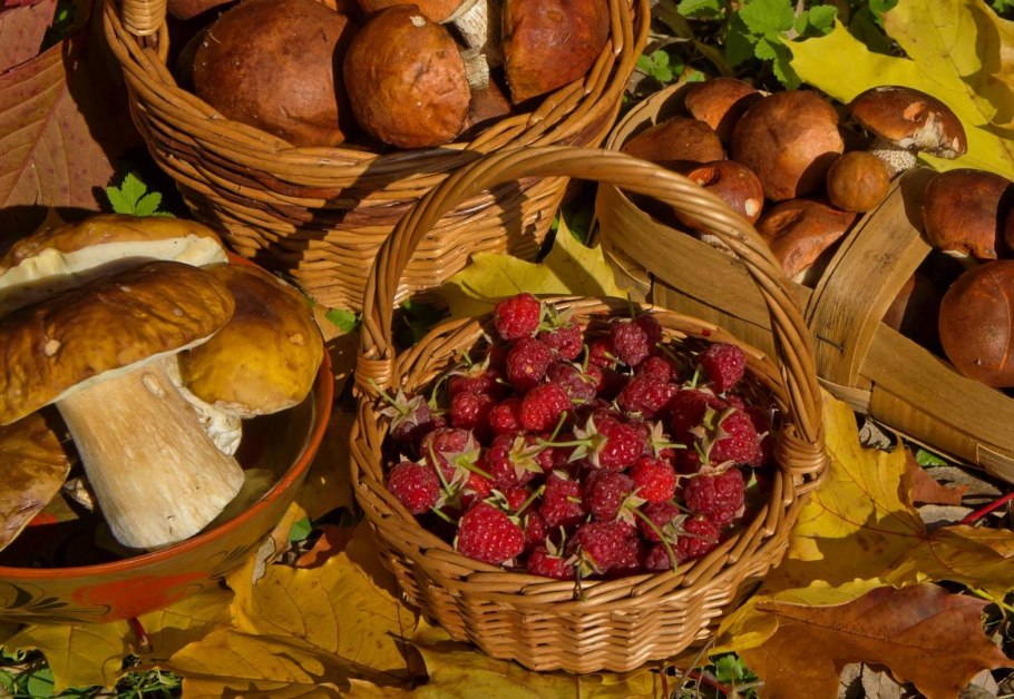 Осенняя корзинка с фруктами