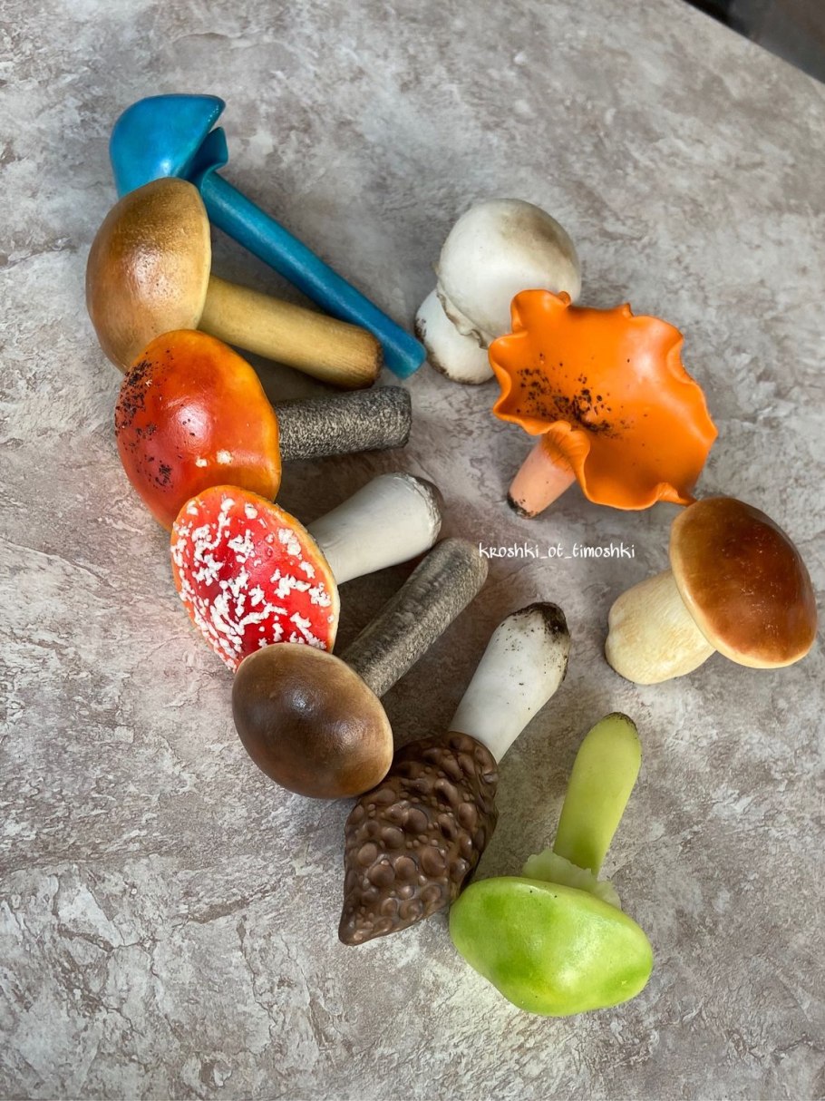 Строение гриба мухомора