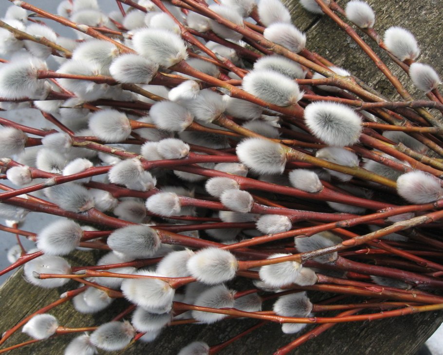 Подвесной светильник Reccagni Angelo l 2442 g