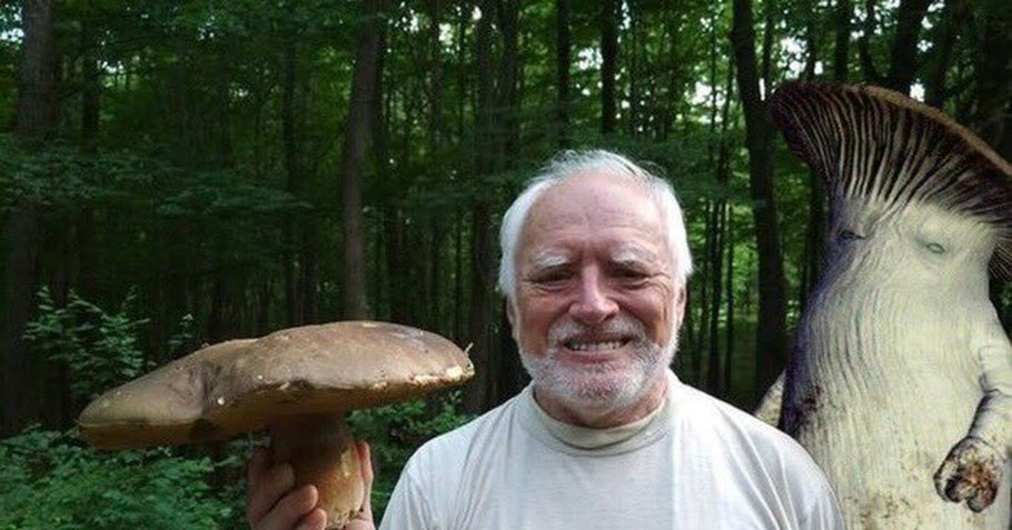 Macrocybe Titans гриб