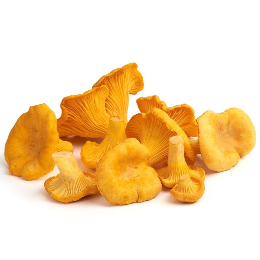 Грибы лисички в Крыму