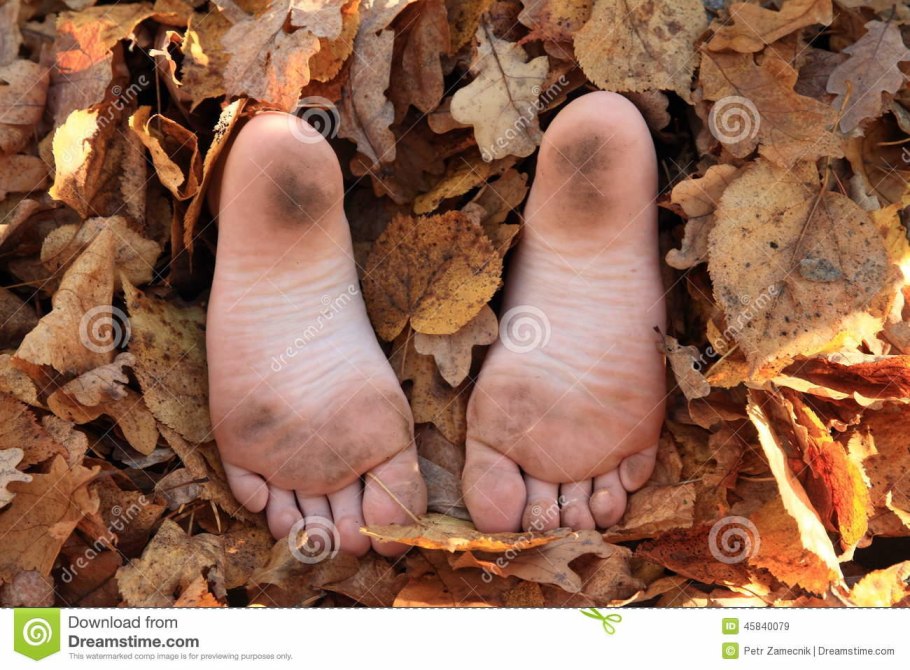 Листва осень