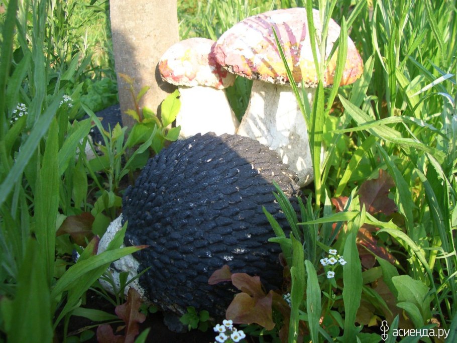 Грибы на грядке с клубникой