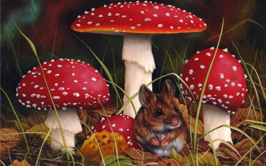 Сказочный мухомор