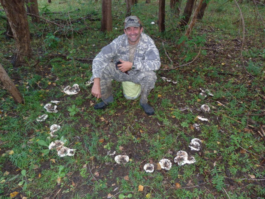 Ведьмин круг грибы