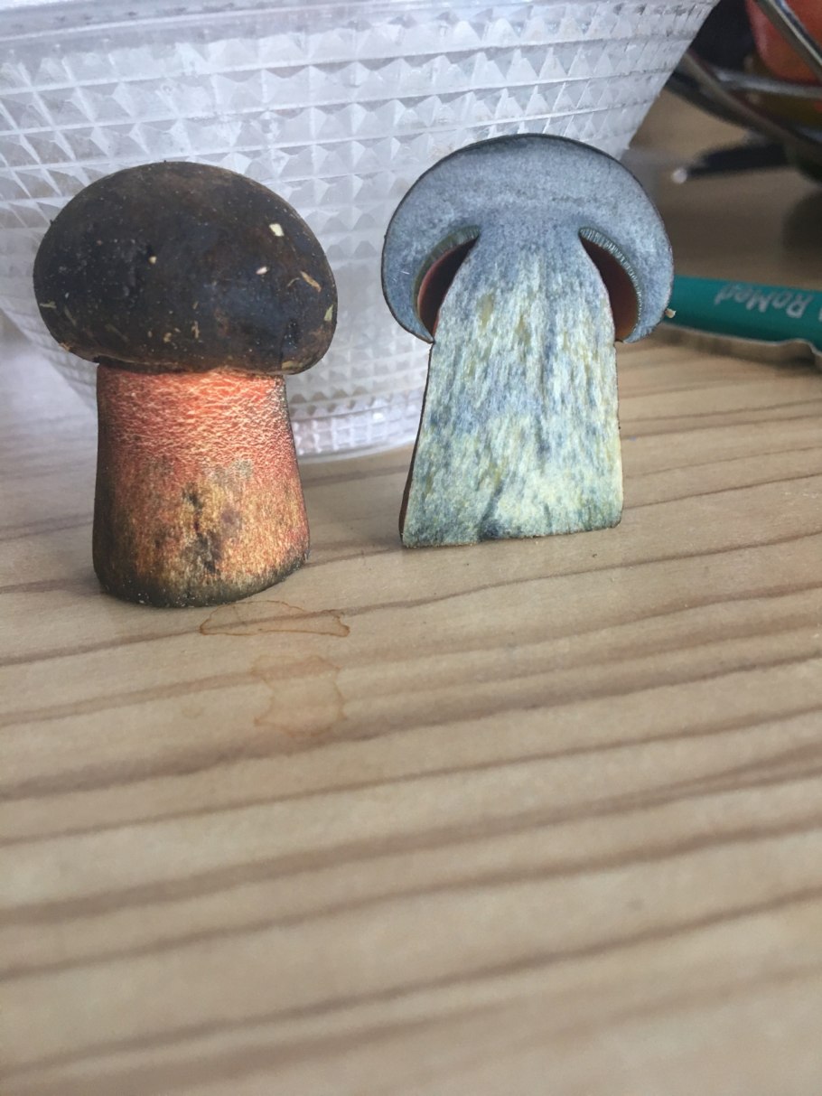 Дубовик крапчатый Boletus erythropus