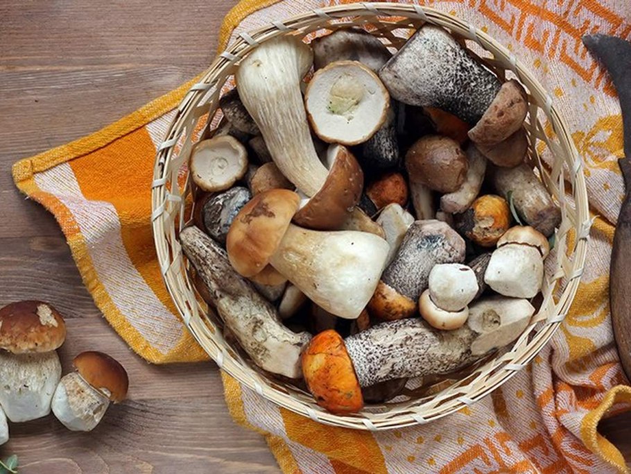 Цветок Листопадник