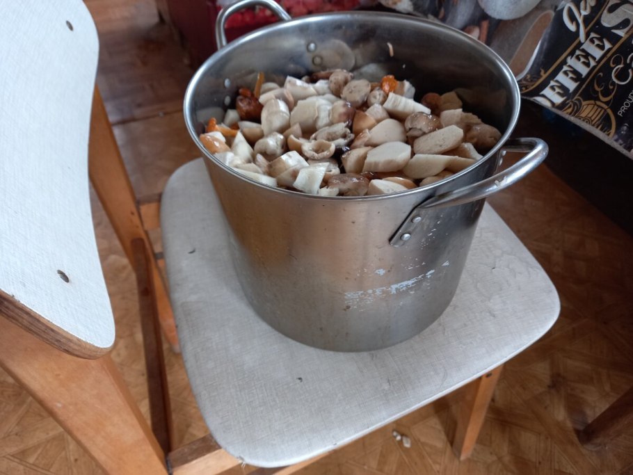 Комментарий к ведру белых грибов