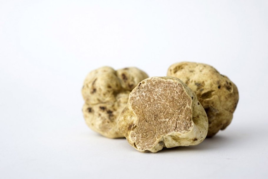 Italian White Alba Truffle