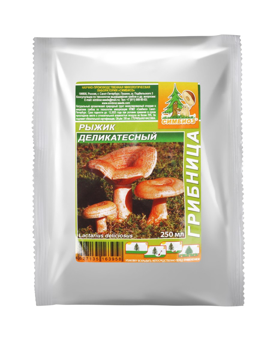 Грибы рыжики показать