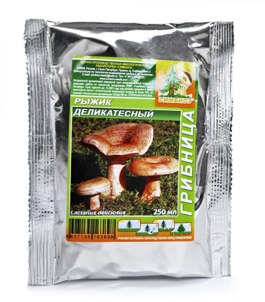 Грибы рыжики показать