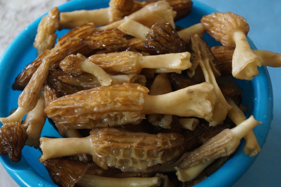 Сморчки со сливками