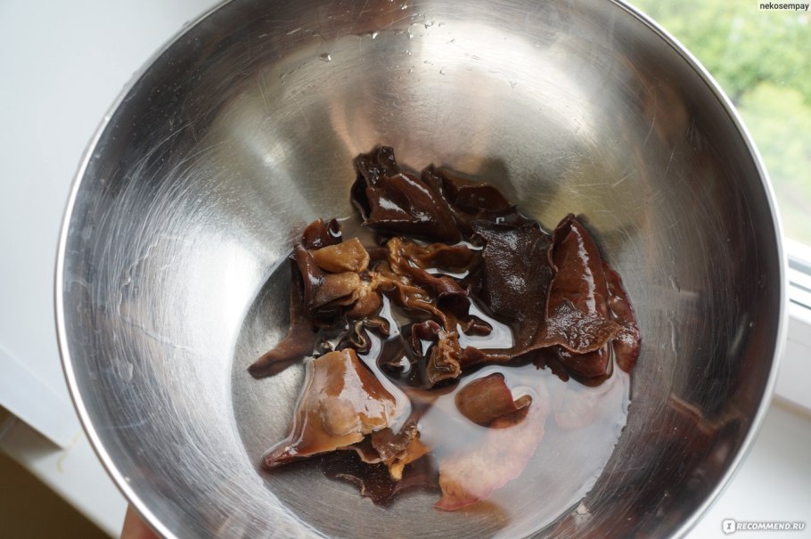 Древесный гриб муэр