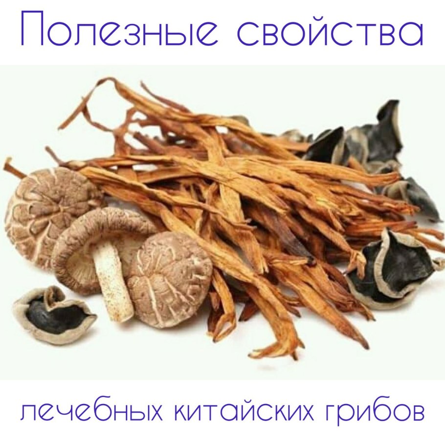 Китайские грибы шиитаке