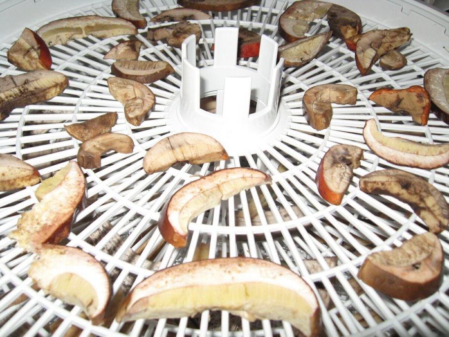 Сушка грибов на нитке