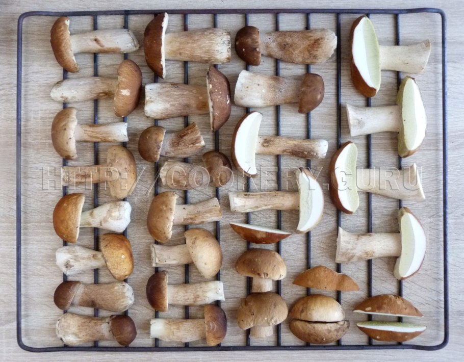 Сушка белых грибов