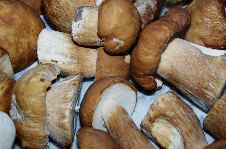 Морозилки грибы