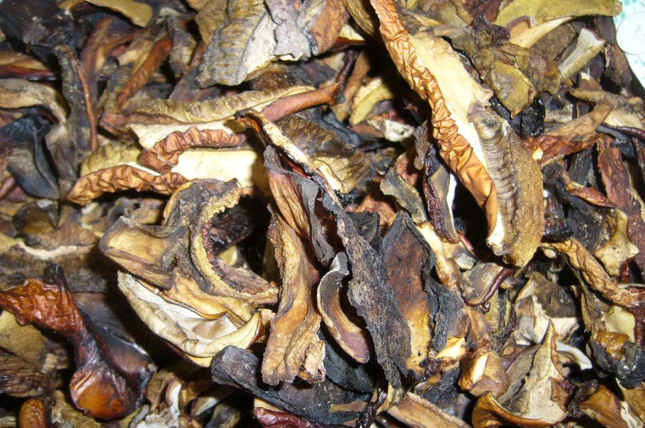 Сушеный Боровик