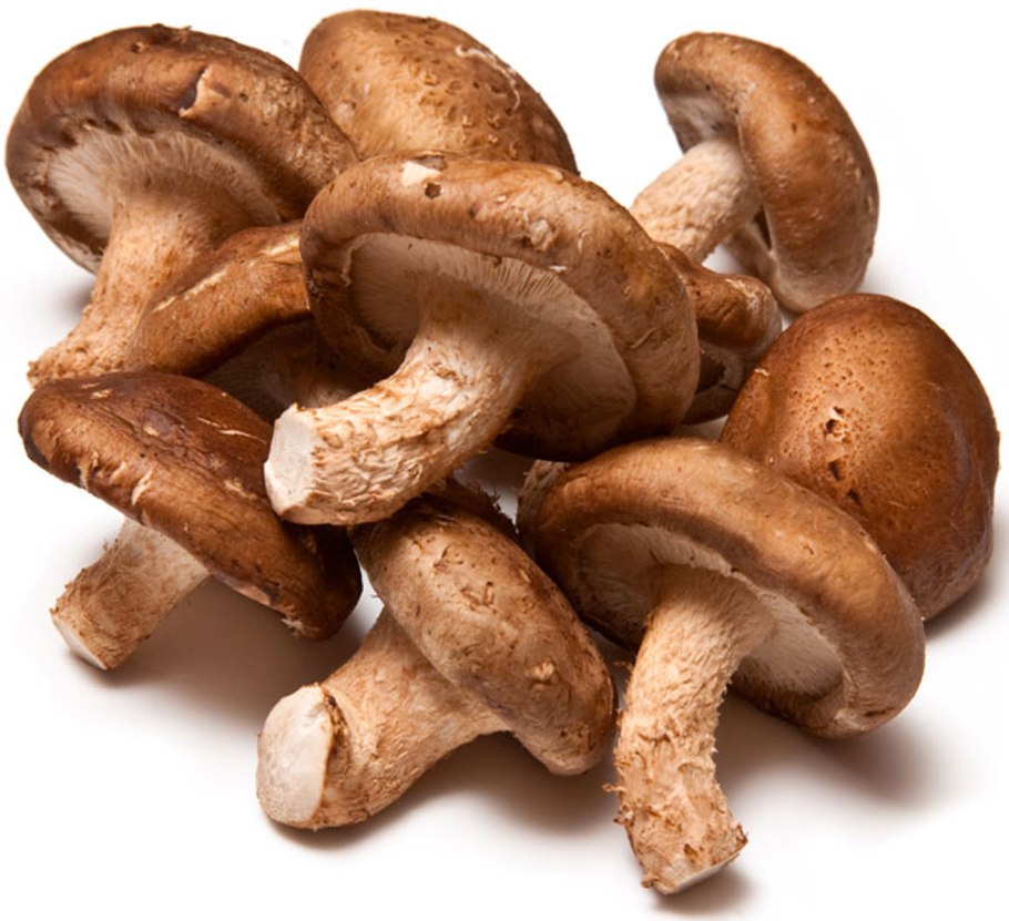 Шиитаке гриб