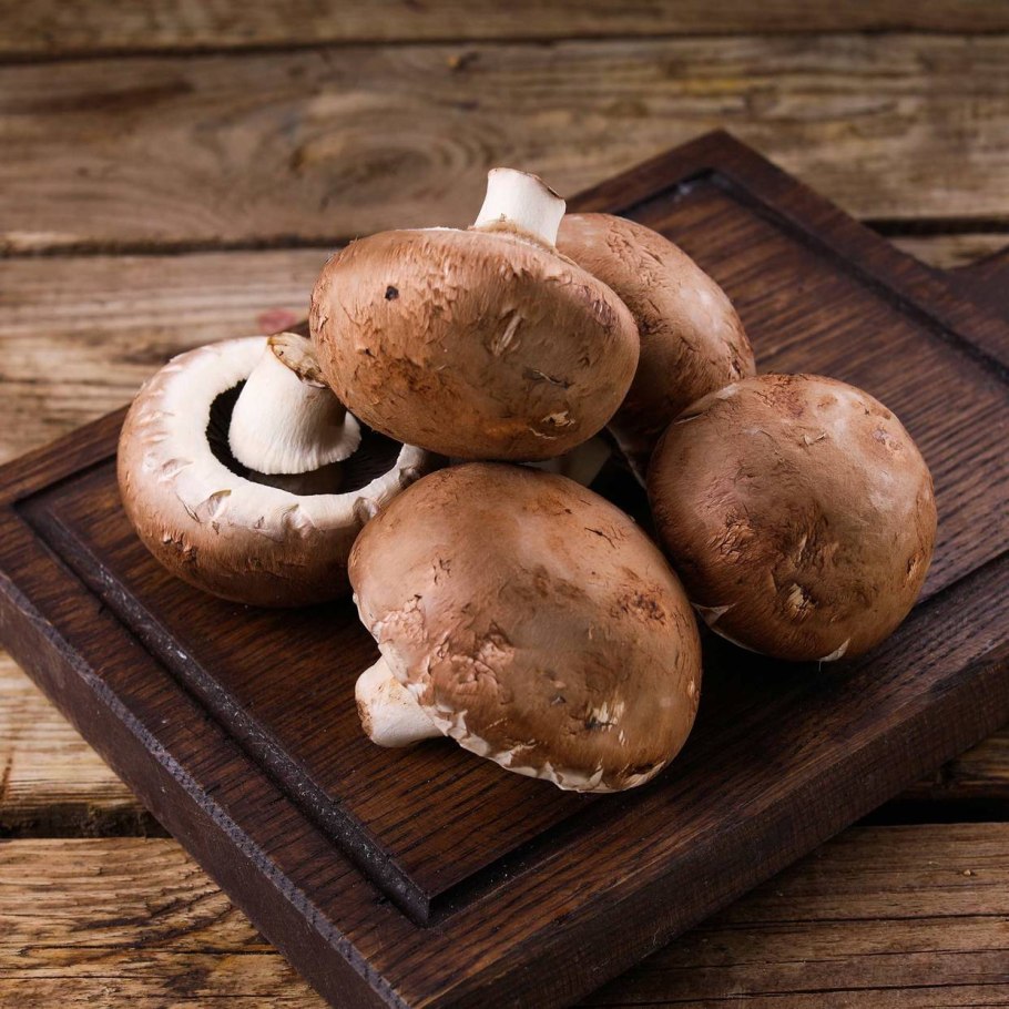 Шампиньон коричневый Королевский