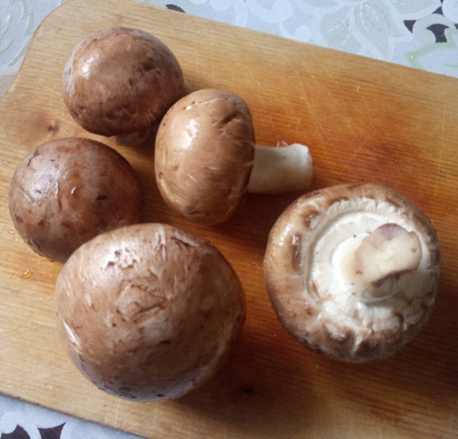 Мицелий королевских шампиньонов