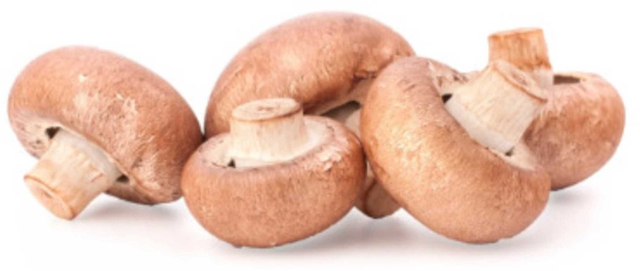 Шампиньон коричневый Королевский