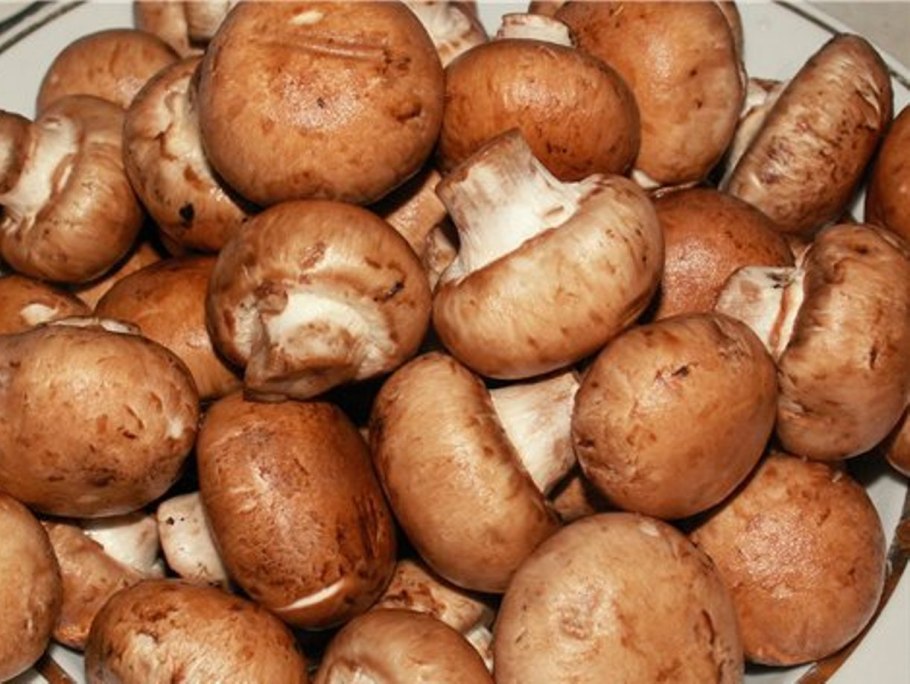 Король шампиньон