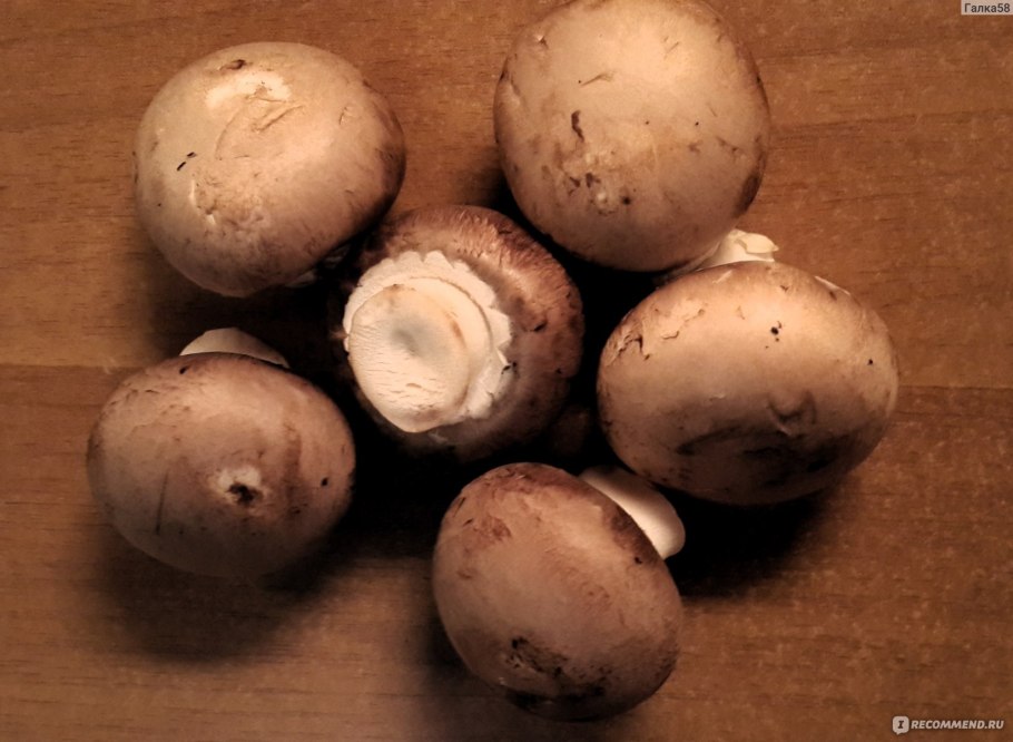 Шампиньоны кримини