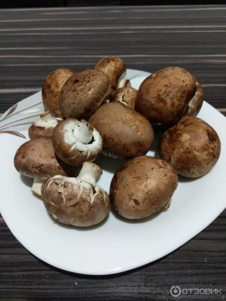 Шампиньоны с коричневой шляпкой