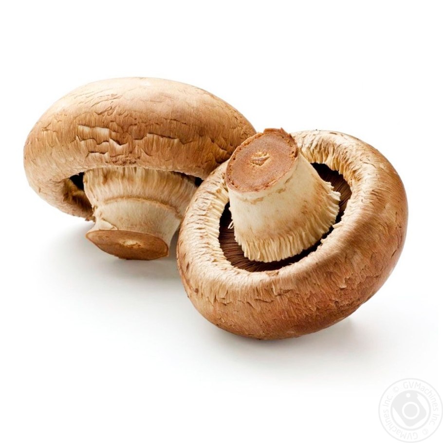 Шампиньон двуспоровый