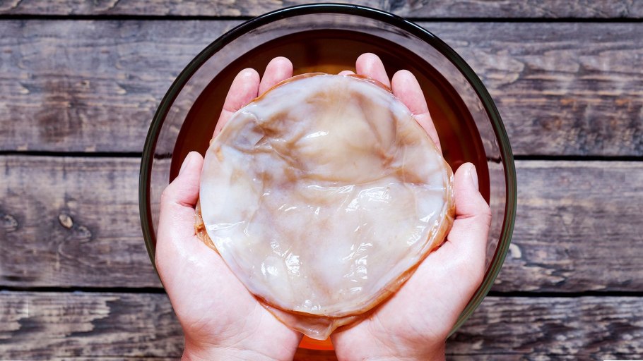 Kombucha чайный гриб