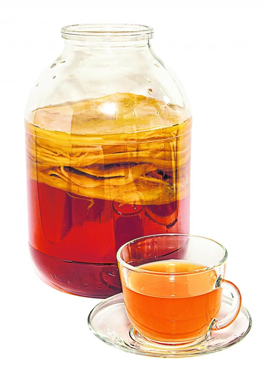 Чайный гриб