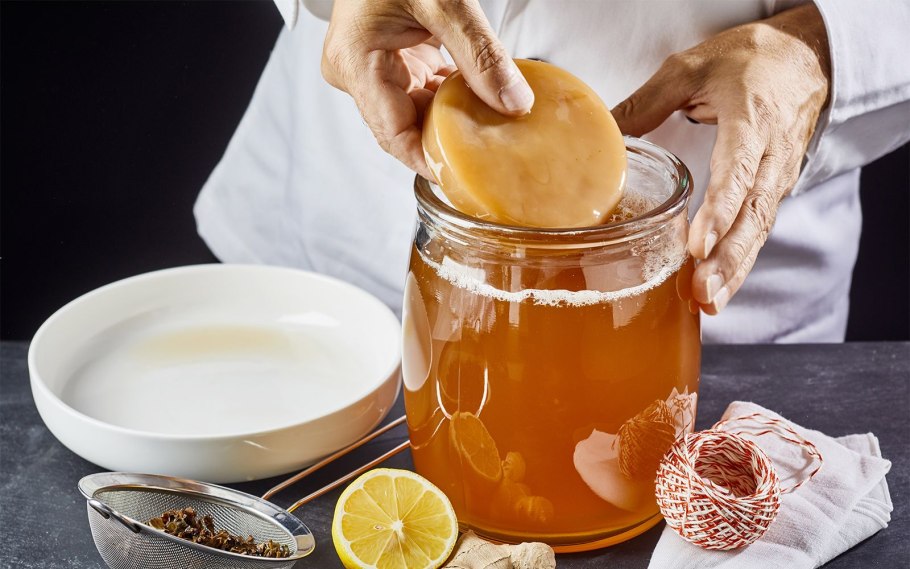 Гомункула чайный гриб