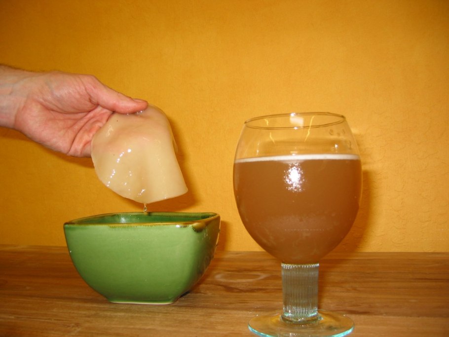 Чайный гриб в банке