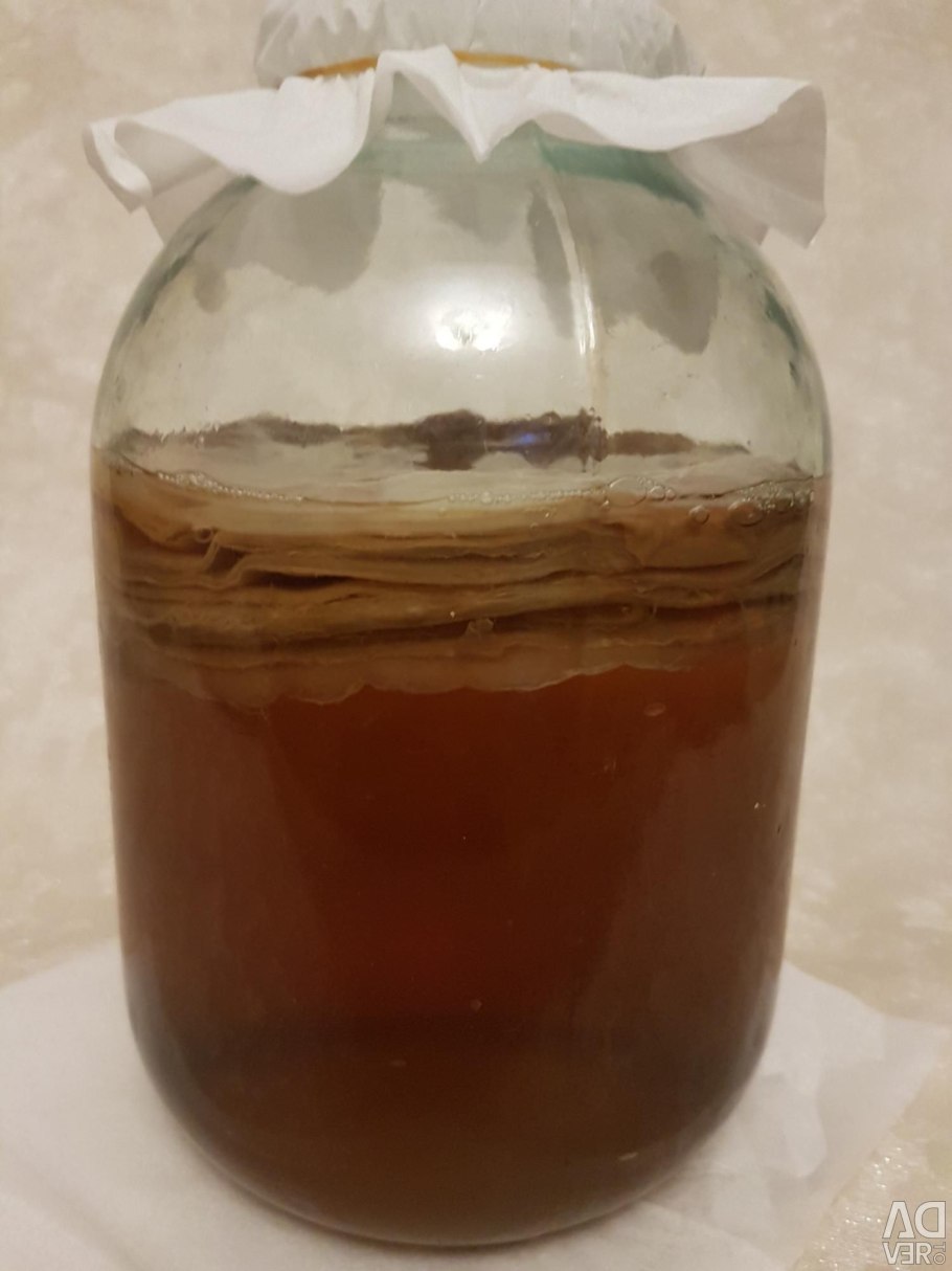 Чайный гриб побурел