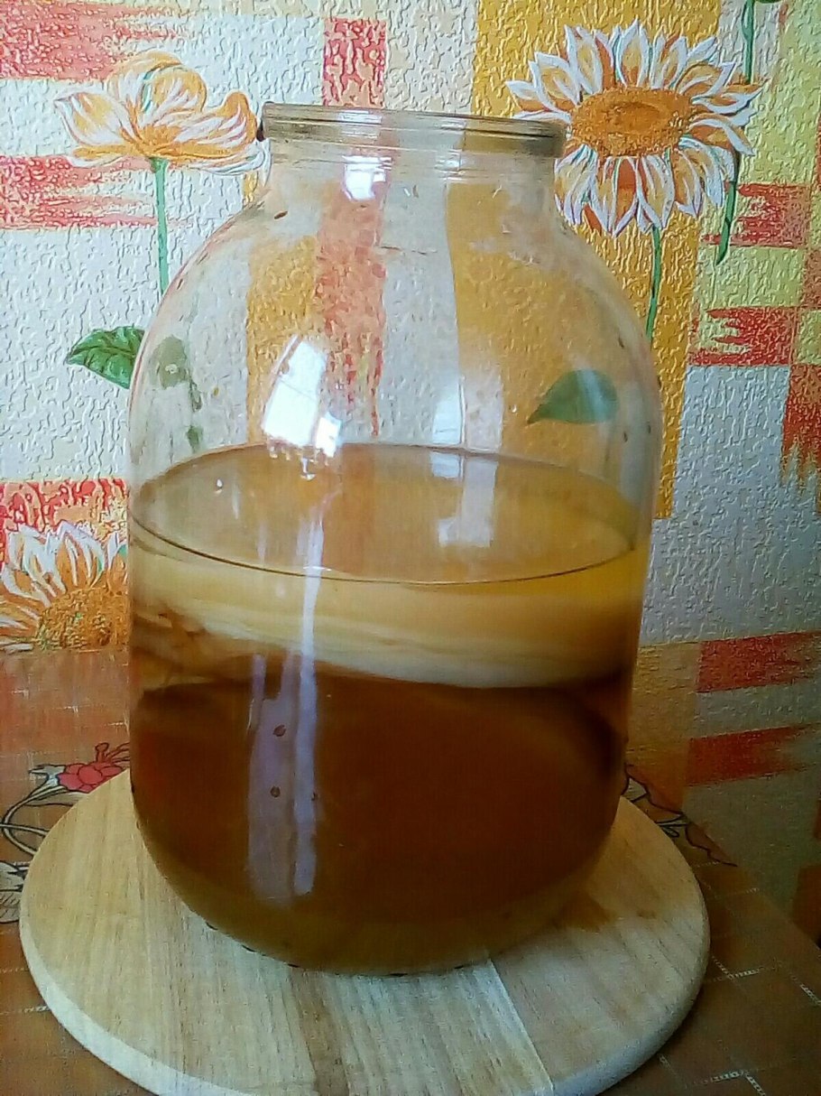 Гриб настойка на чае