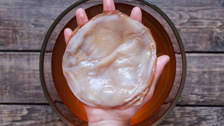 Чайный гриб