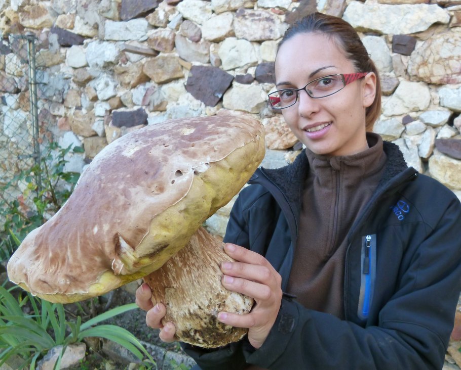 Самый большой гриб в России