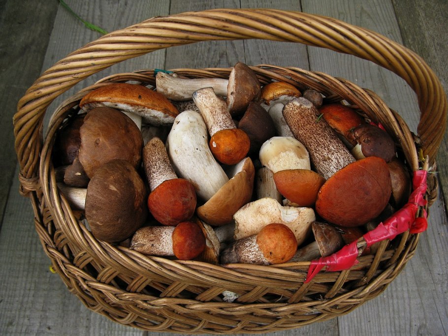 Корзина с грибами
